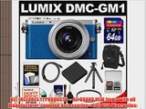 Panasonic Lumix DMC-GM1 Micro Four Thirds Digital Camera