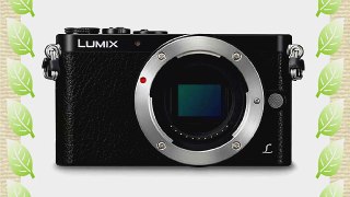 Panasonic LUMIX DMC-GM1 16.0 MP Digital Camera - Black (Body Only)