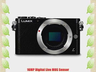 Panasonic LUMIX DMC-GM1 16.0 MP Digital Camera - Black (Body Only)
