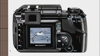 Olympus Evolt E300 8MP Digital SLR with Zuiko 14-45mm f/3.5-5.6 Digital SLR Lens