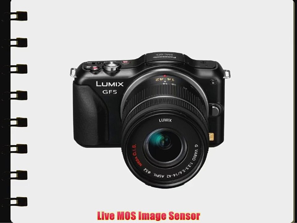 Panasonic DMC-GF5KK 12 MP Compact System Camera with 3-Inch Touch Screen and 14-42 Zoom Lens