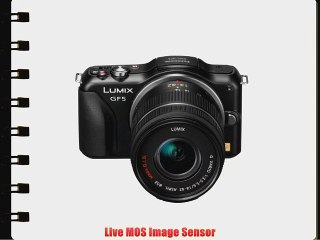 Panasonic DMC-GF5KK 12 MP Compact System Camera with 3-Inch Touch Screen and 14-42 Zoom Lens