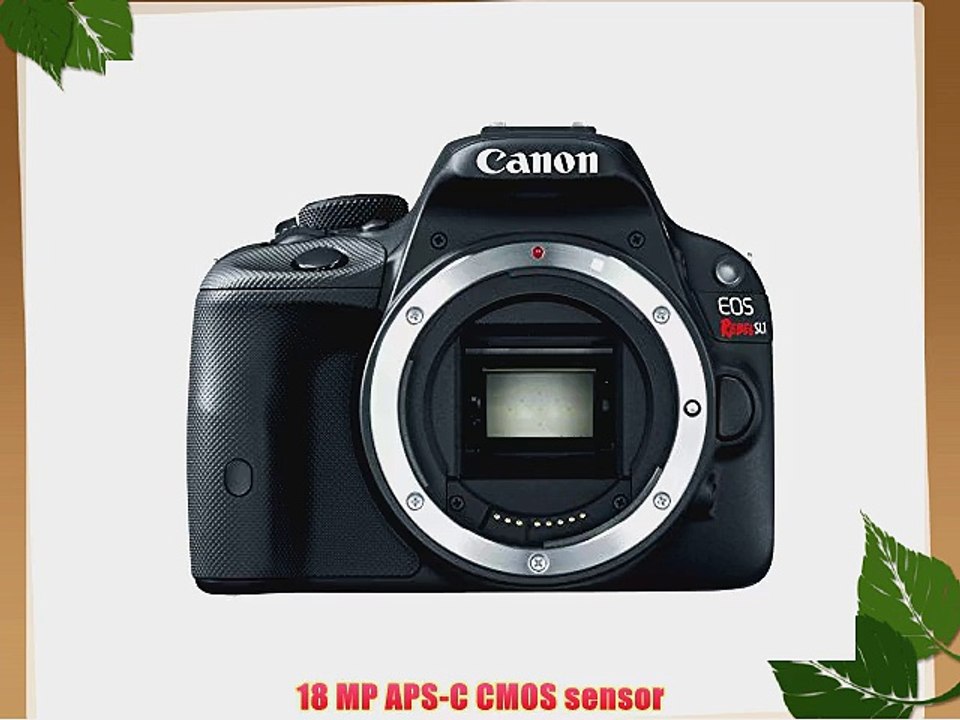 Canon EOS Rebel SL1 Digital SLR Camera (Body Only)
