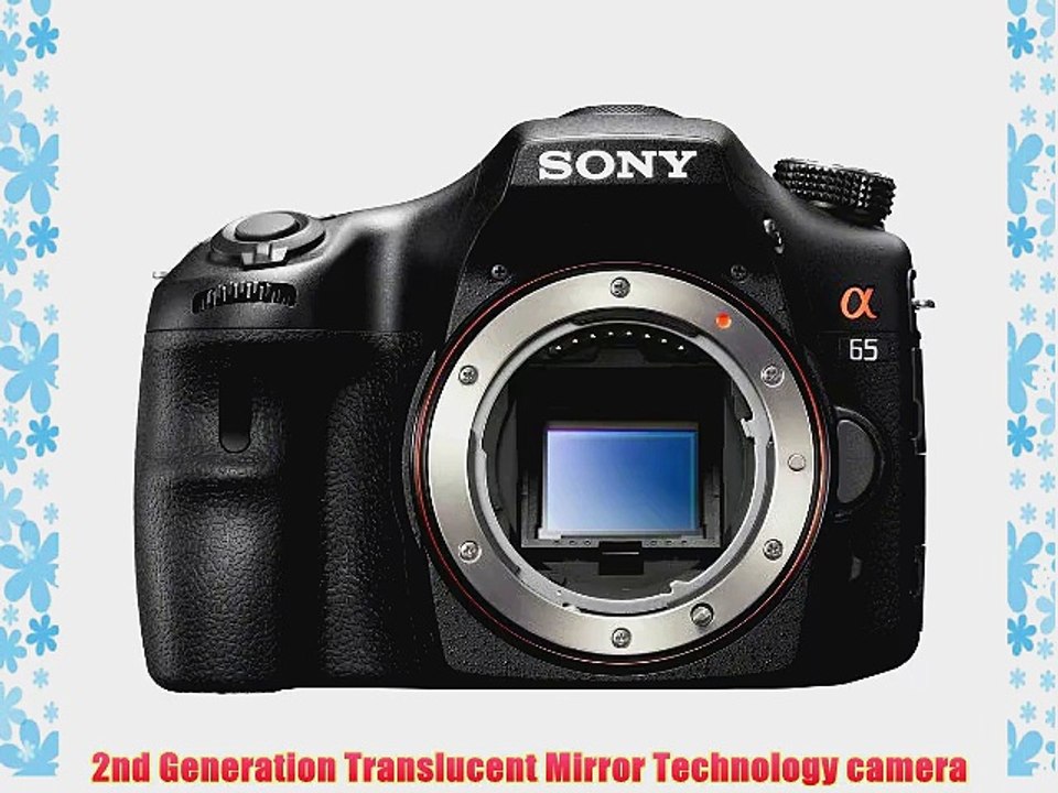 Sony SLT-A65V 24.3 MP Digital SLR with Translucent Mirror Technology - Body Only
