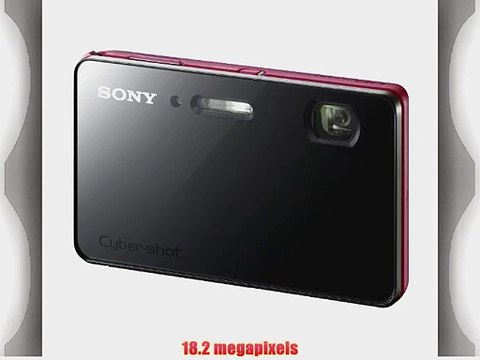 Sony Cyber-shot DSC-TX200V 18.2 MP Waterproof Digital Camera with 5x Optical Zoom and 3.3-inch