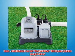 Intex - St?rilisateur au Sel Krystal Clear INTEX pour piscine jusqu'? 56 m?