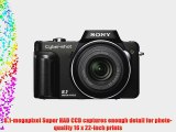 Sony Cybershot DSC-H10 8.1MP Digital Camera with 10x Optical Zoom with Super Steady Shot