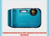 Sony DSC-TF1/L 16 MP Waterproof Digital Camera with 2.7-Inch LCD (Blue)
