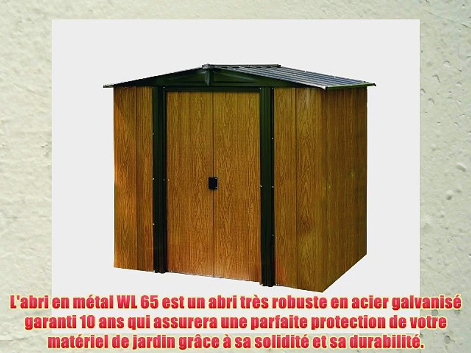 Chalet-Jardin WL65 Abri de Jardin Acier Galvanis? Marron 194 x 151 x 177 cm
