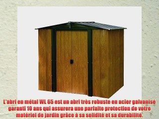 Chalet-Jardin WL65 Abri de Jardin Acier Galvanis? Marron 194 x 151 x 177 cm