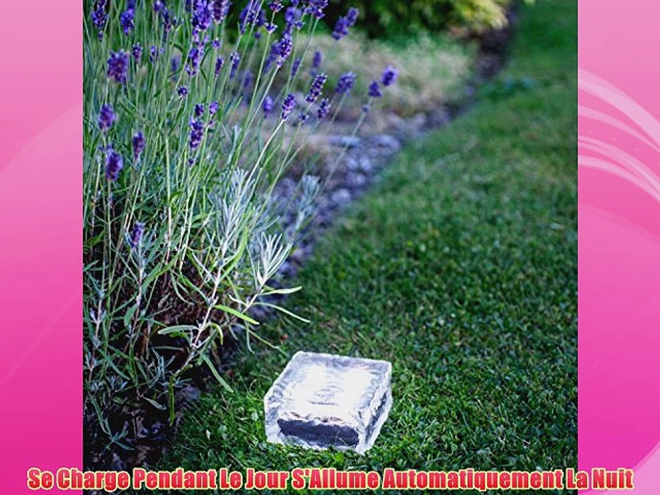 Offre Sp?ciale : Lot de 12 Grands Pav?s Lumineux Solaires en Verre Grav? ? LED Blanches