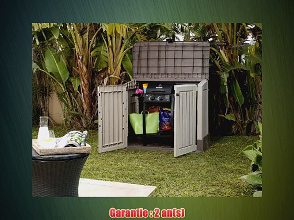 Grand coffre de rangement pour le jardin en pvc CARACAS 800 L