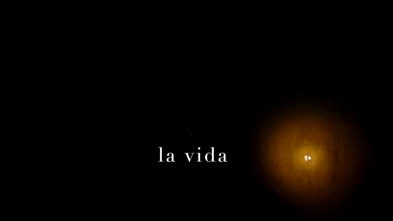 CINEPHONE 2015 : LA VIDA