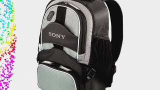 Sony LCS-VA60 Multi-Function Backpack for Most Digital Cameras and Camcorders