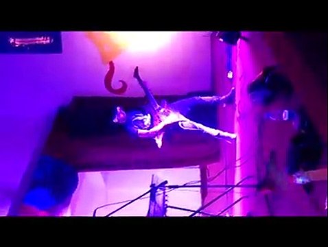 Sweet dreams Marlyn Manson covered by Metador