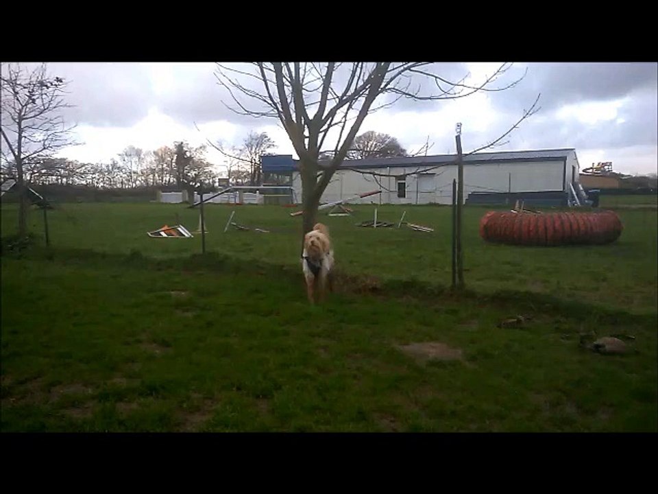 Benji !