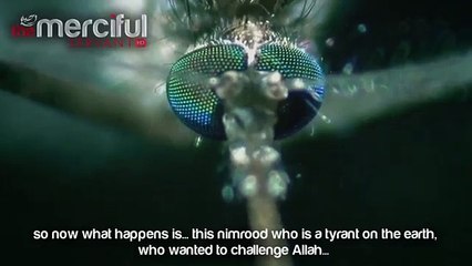 Nimrood The Tyrant Who Challenged Allah