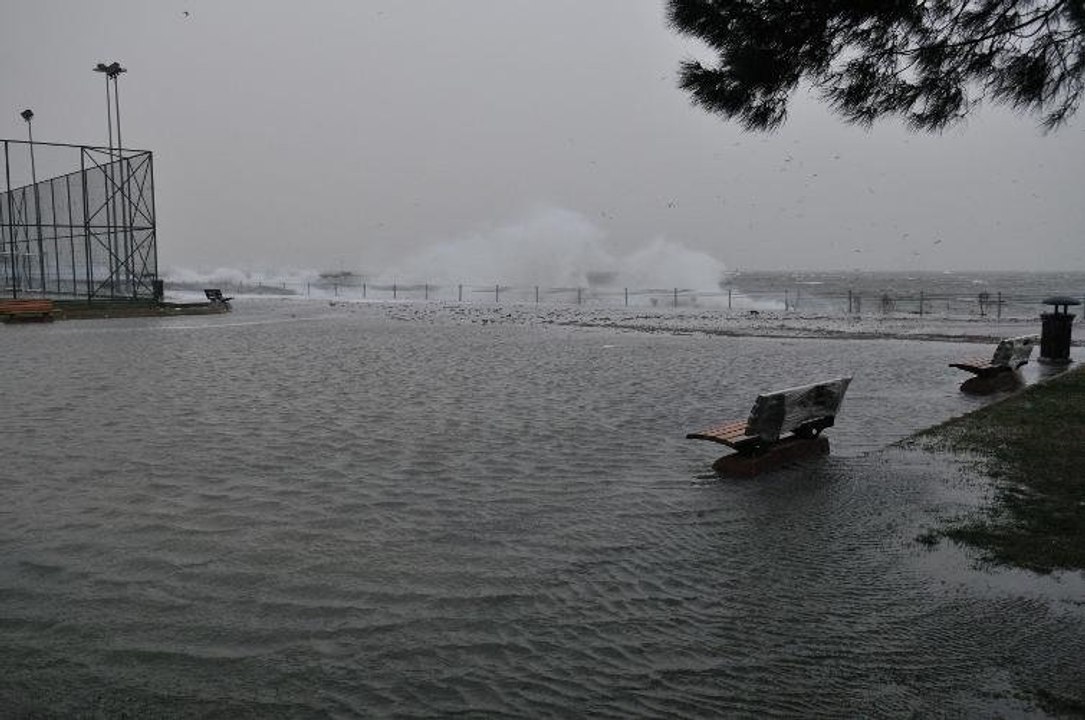 Caddebostan'da lodos dehşeti
