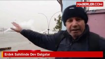 Lodos Deniz Canlılarını da Vurdu