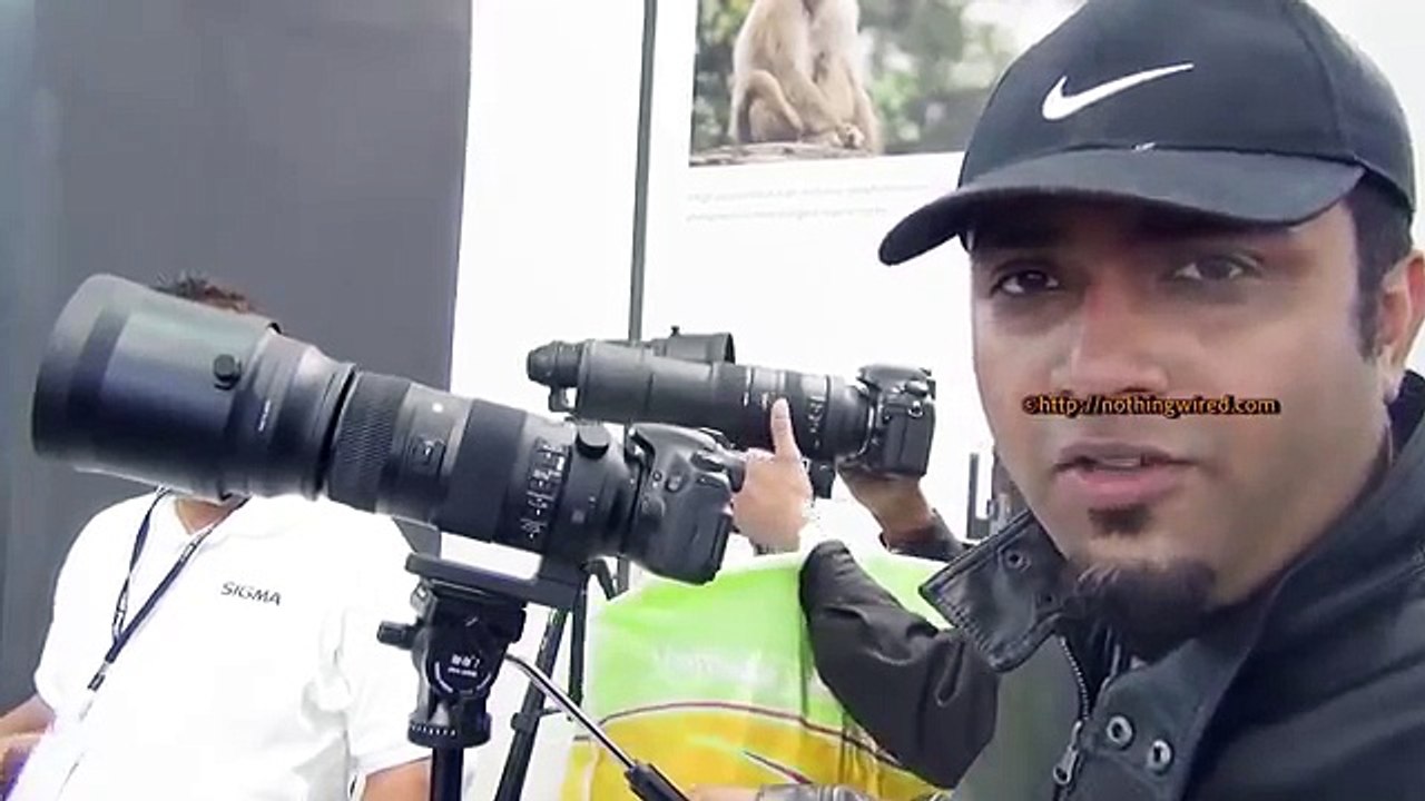 Sigma 150-600mm f5-6.3 DG OS HSM Sports Review Exclusive Hands-on with Image samples