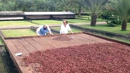 Patrice Chapon conoció las instalaciones donde el cacao se seca al sol