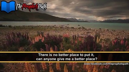 The Human Organs By Mufti Ismail Menk