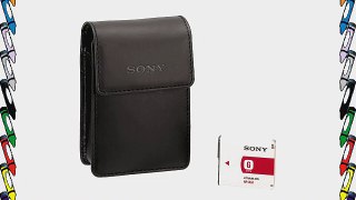 Sony ACCCLG Camera and Accessory Case with Spare Lithium Ion Battery