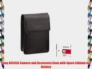 Sony ACCCLG Camera and Accessory Case with Spare Lithium Ion Battery