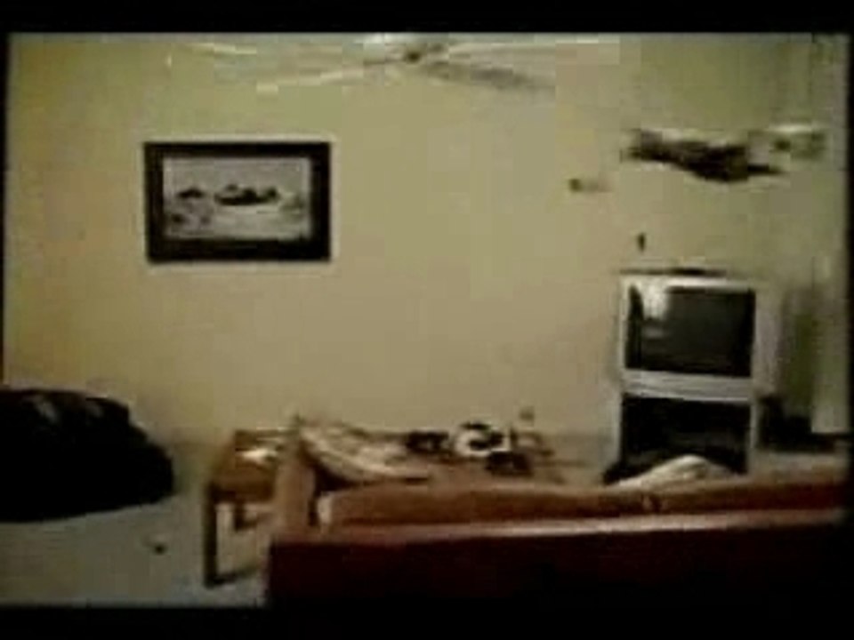 Chat volant