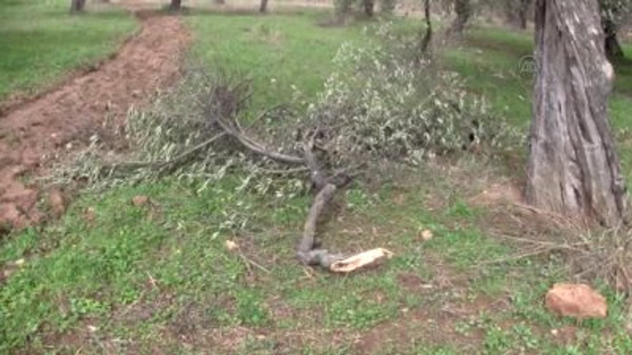 Edremit Körfezi'nde Kuvvetli Lodos - Balıkesir/bursa/