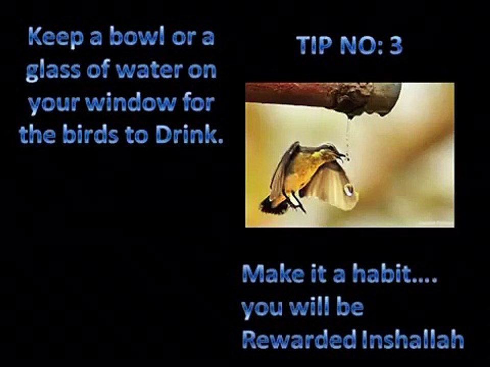 Tips of sadqa in islam.
