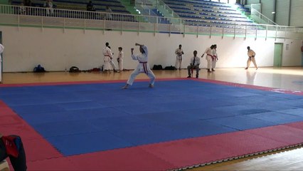 ChampKataRoseline2015