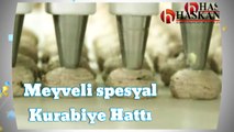 Haskan Makina - Kurabiye Dökme hattı ( Makinası ) şerbetleme ve Fıstıga Bulama