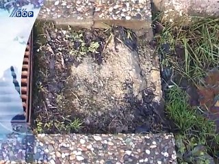 Vesti na vlaškom jeziku, 03. februar 2015. (RTV Bor)