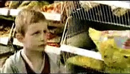 Funny Videos Funniest Commercial Ever