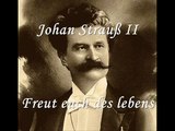 Johann Strauß II - Freut euch des lebens, op 340 (waltz)