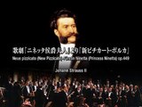 Johann Strauss II - Neue pizzicato - Fuerstin Ninetta, op.449