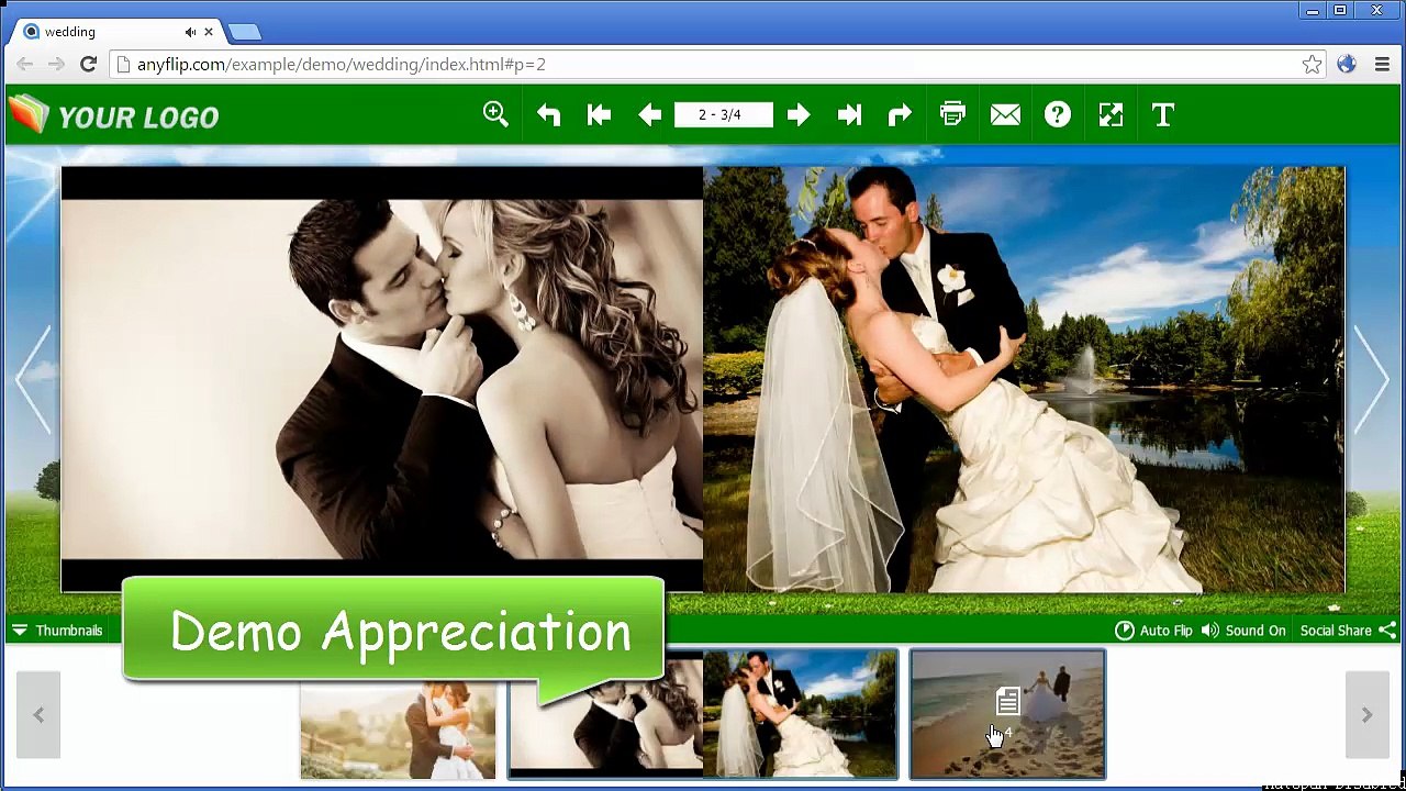 Digital Magazine Software for Appealing Page Turning Online Flipbook