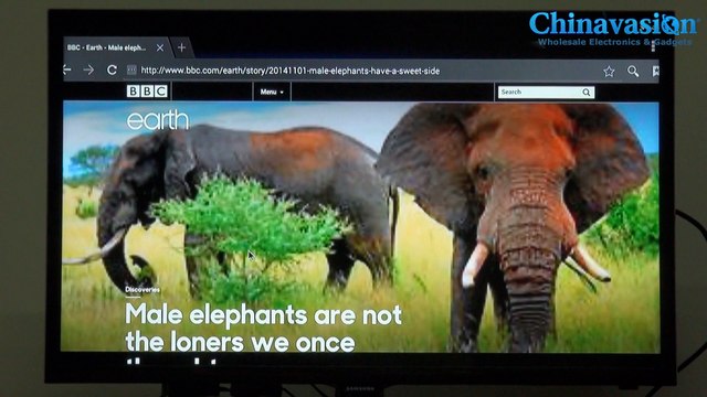 MXQ S85 Android 4.4 TV Box - Amlogic S805 Cortex-A5 Quad Core CPU, 1GB RAM