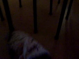 redbull et son manteau!!!!