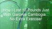 How to Lose Weight Fast - Buy Garcinia Cambogia - Best Weight Loss Pills - Garcinia Cambogia Reviews