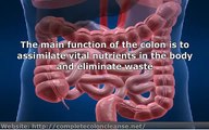 3 Steps to a Perfect Colon Cleansing Diet & Detoxification
