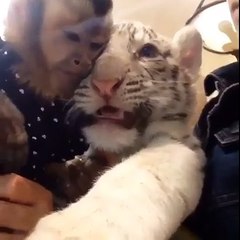 WoW   That s Called True Friendship