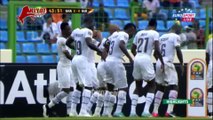 أهداف غانا 3 غينيا 0 أمم افريقيا 205 دور ال8