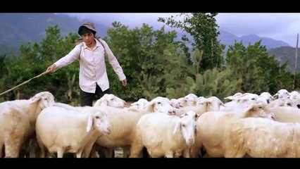 Fathering [Shortfilm - Hoai Lam]