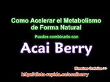 Dieta Acai- Acelerar El Metabolismo y Adelgazar con Acai Berry