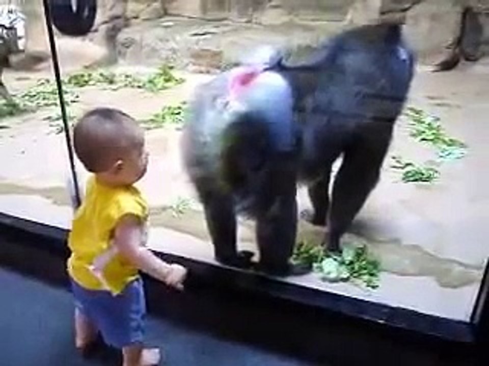 funny monkey And little boy