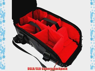 Waterproof SLR/DSLR Camera Travel Backpack (Black Small)