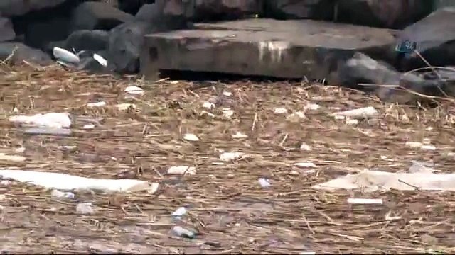 Boğaz çöple doldu