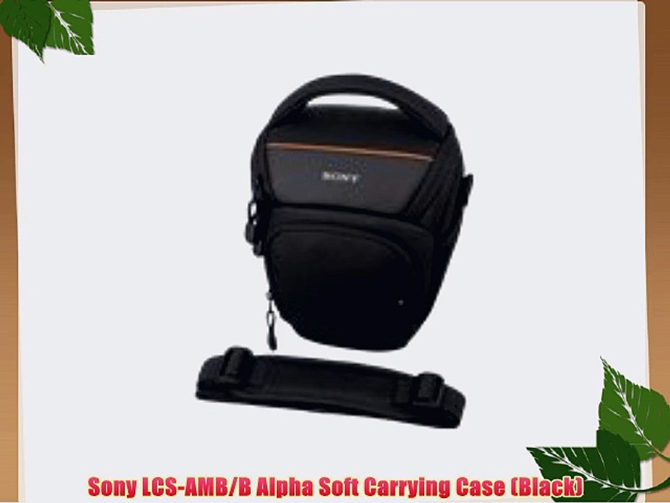Sony LCS-AMB/B Alpha Soft Carrying Case (Black)